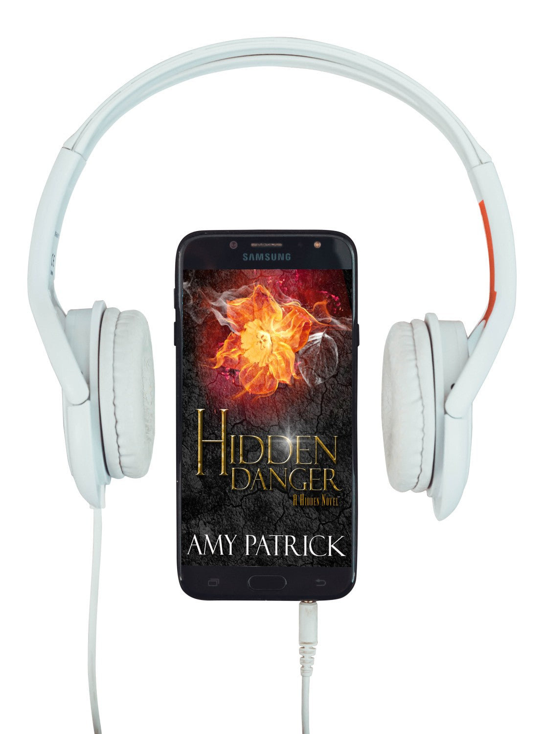 Hidden Danger (Book 5 of the Hidden Saga)